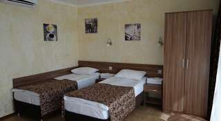 Гостиница Анна Адлер Стандартный двухместный номер с 1 кроватью или 2 отдельными кроватями-6